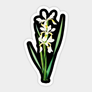 White lily flower Sticker